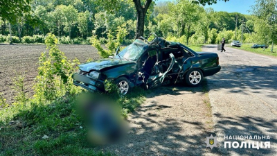 У ДТП на Одещині загинув водій та травмувався його маленький син
