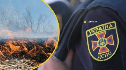 What will happen to those who burn dry grass? A humorous video from the State Emergency Service has stirred up the internet.